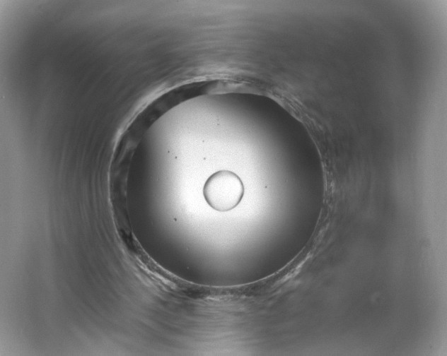 X0000066100244200603241525