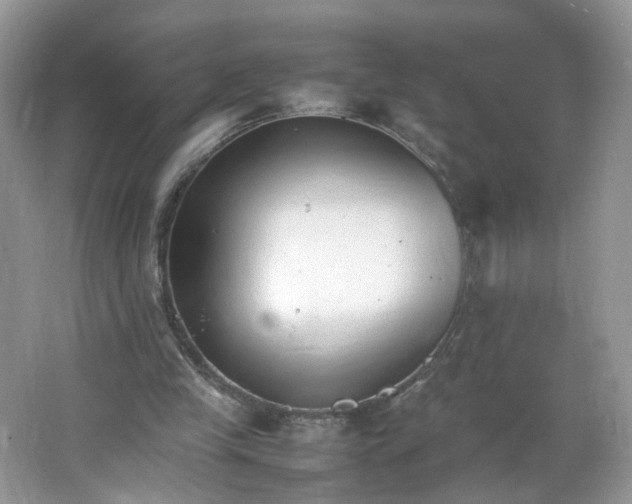 X0000066100245200603241525