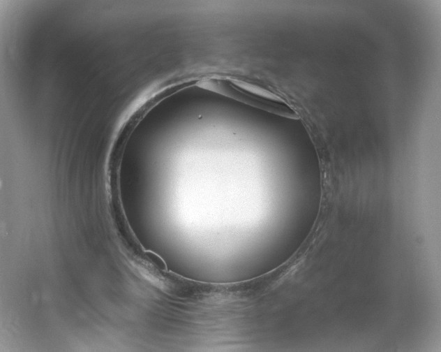 X0000066100246200603241525