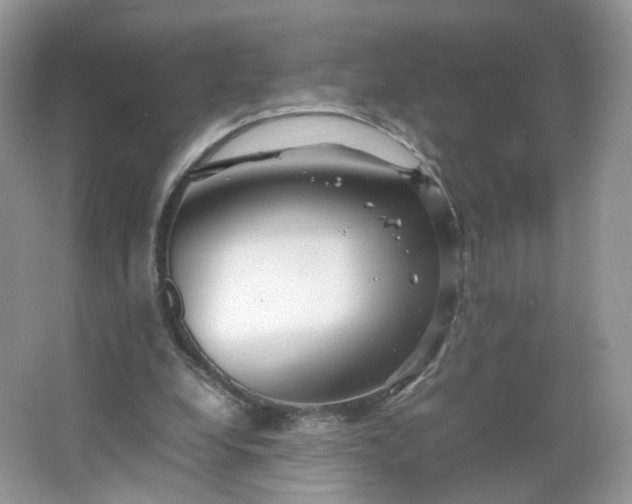 X0000066100248200603241525