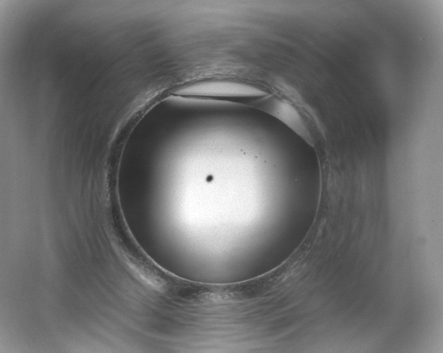 X0000066100250200603241525