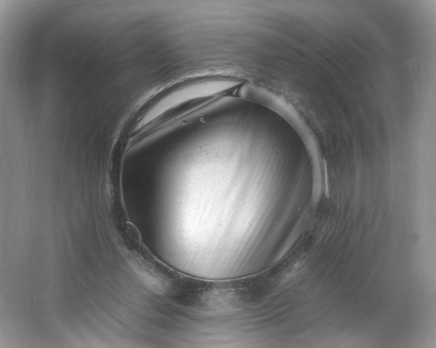 X0000066100252200603241525