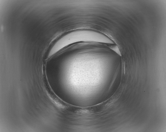 X0000066100253200603241525