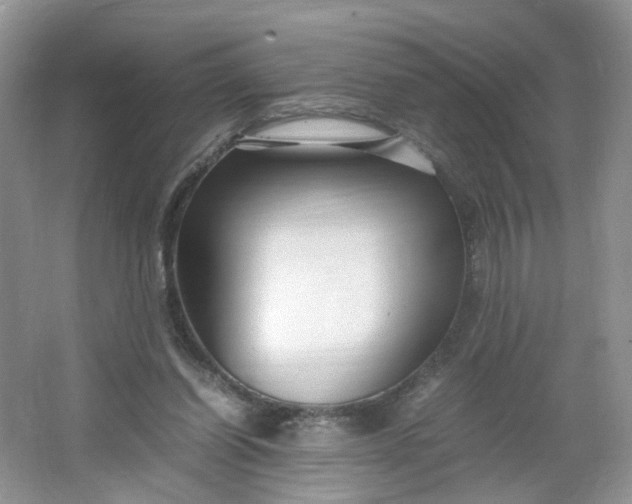 X0000066100254200603241525