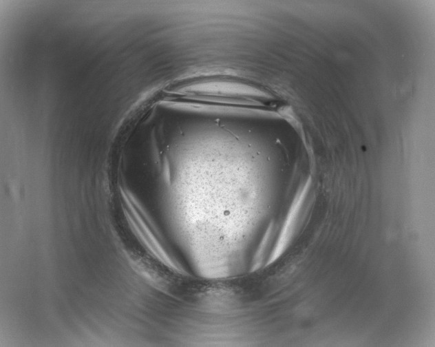 X0000066100256200603241526