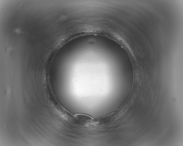 X0000066100257200603241526