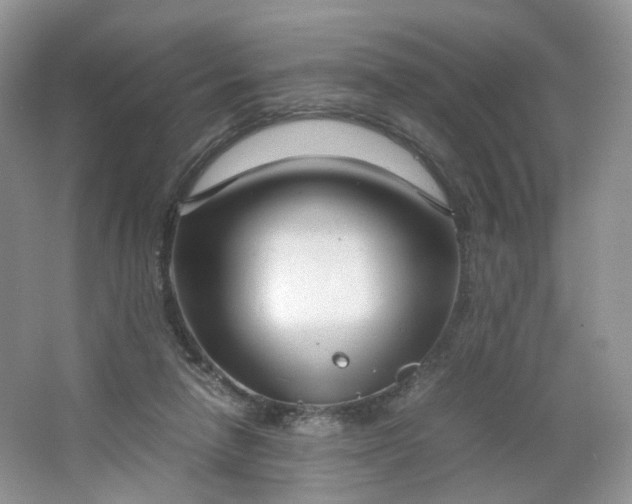 X0000066100258200603241526