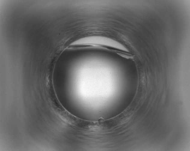 X0000066100259200603241526