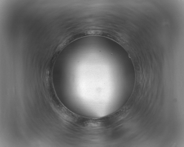 X0000066100263200603241526