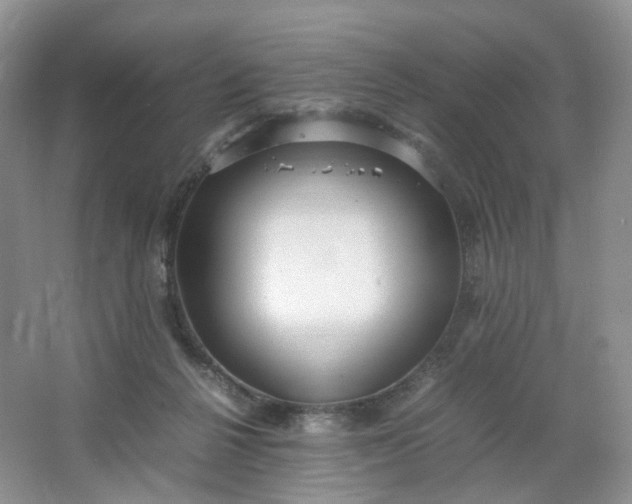 X0000066100264200603241526