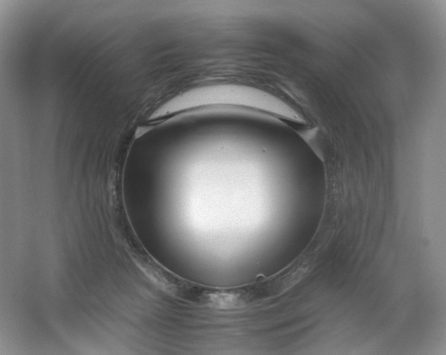 X0000066100265200603241526