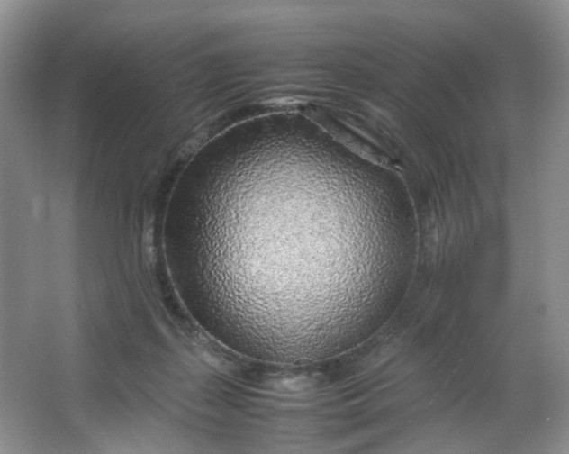 X0000066100267200603241526