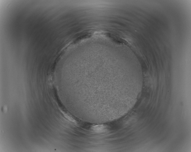 X0000066100269200603241526