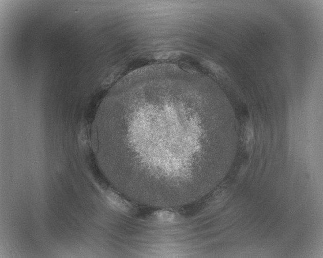 X0000066100272200603241526