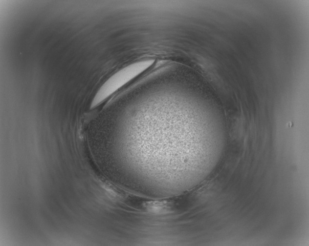 X0000066100273200603241526