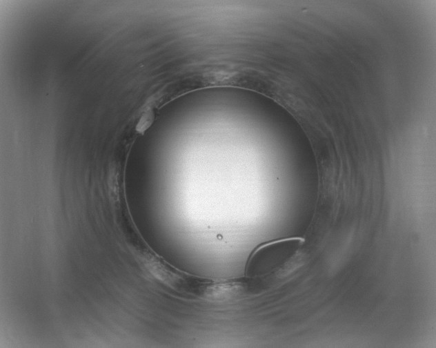 X0000066100274200603241526