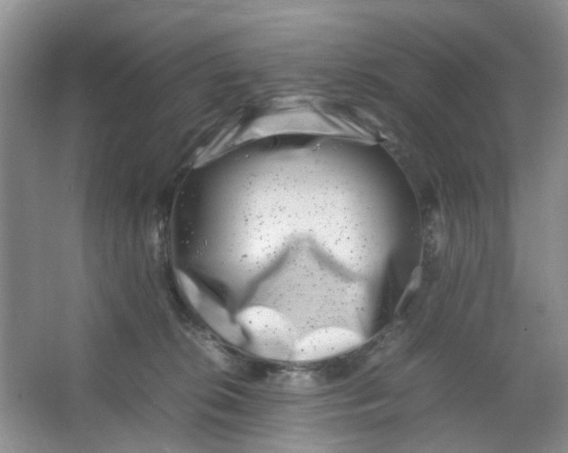 X0000066100276200603241526