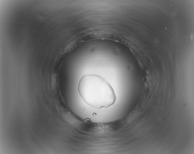 X0000066100278200603241526