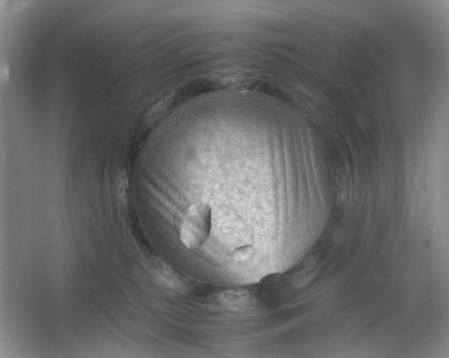 X0000066100279200603241526