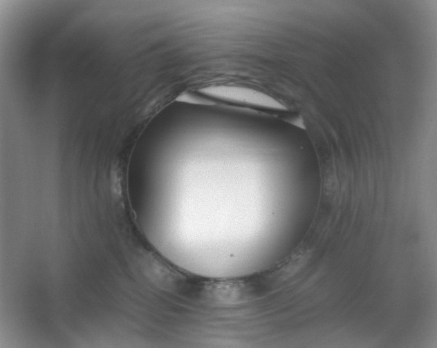 X0000066100282200603241526