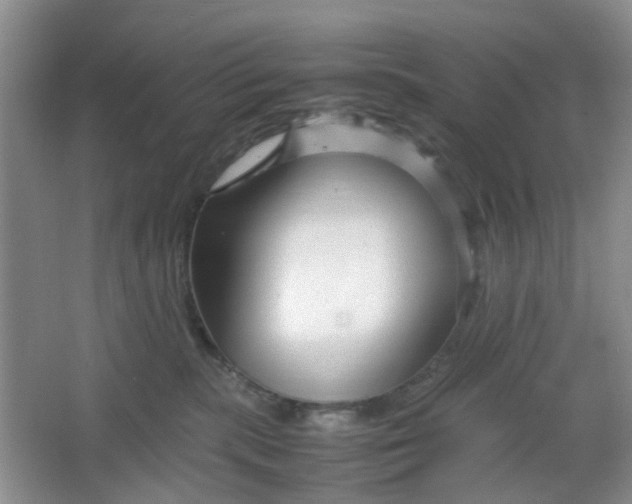 X0000066100283200603241526