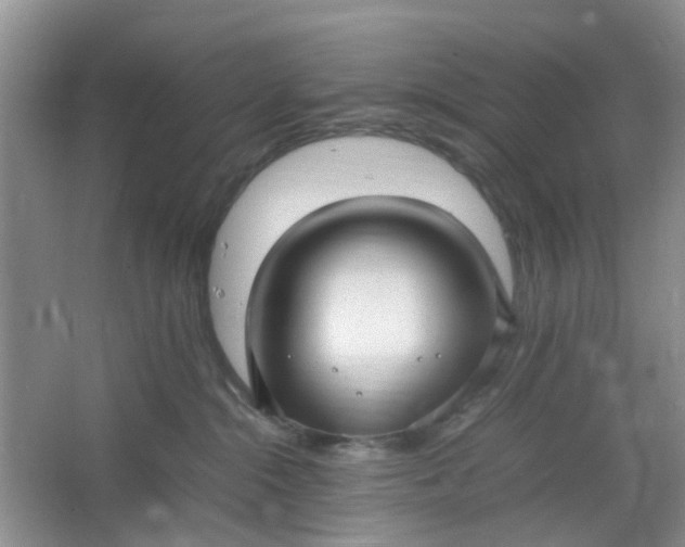 X0000066100284200603241526