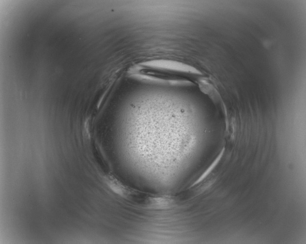 X0000066100286200603241526