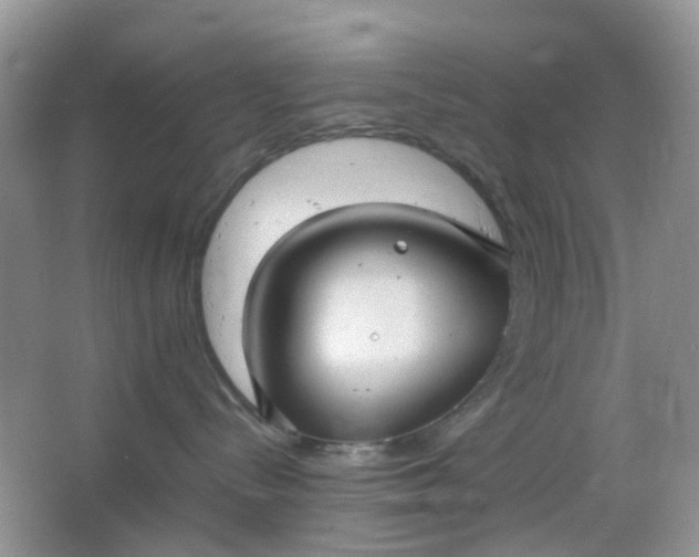 X0000066100288200603241526