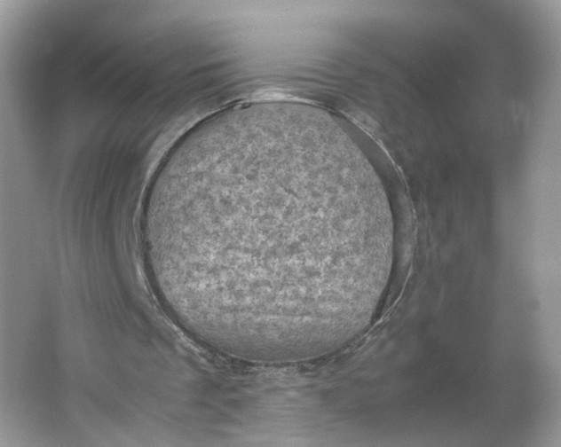 X0000066100289200603241525