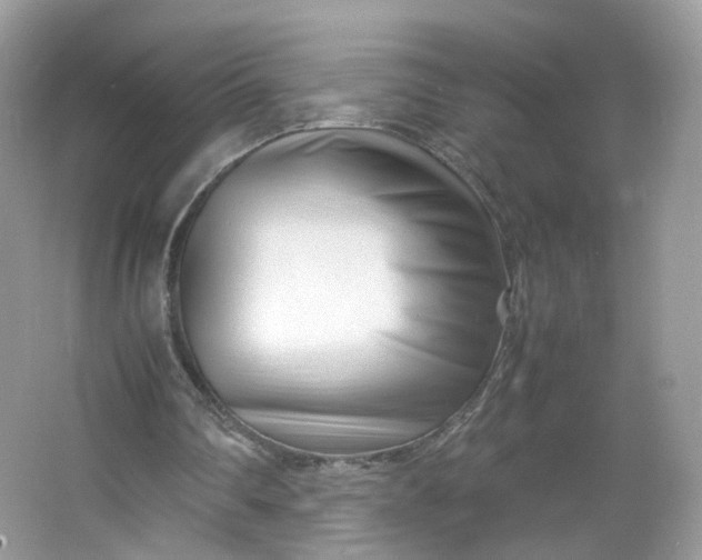 X0000066100290200603241525