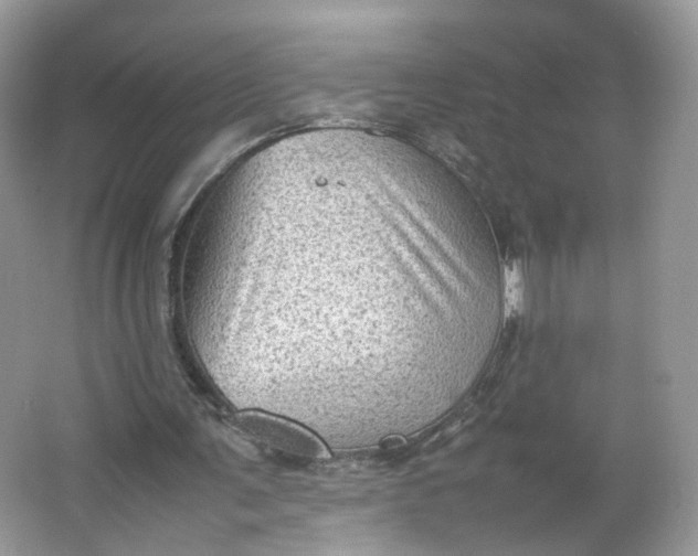 X0000066100291200603241525