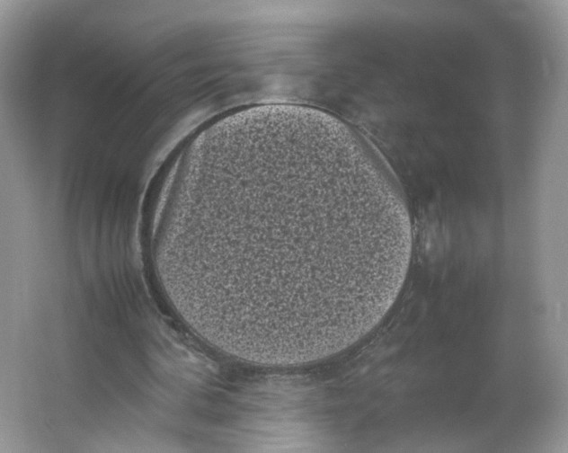 X0000066100292200603241525