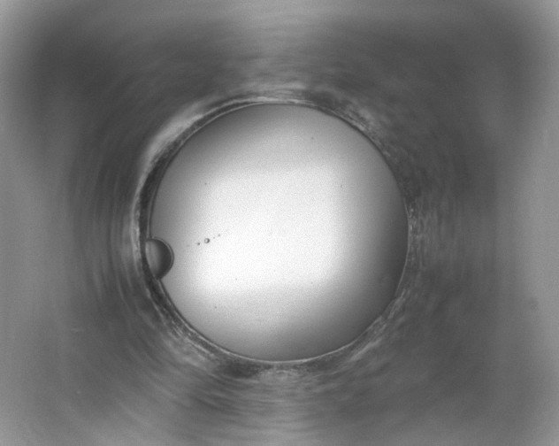 X0000066100294200603241525