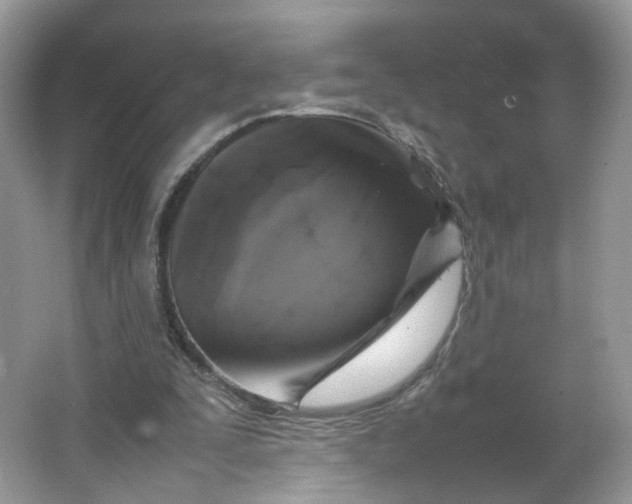 X0000066100295200603241525