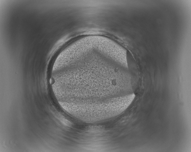 X0000066100296200603241525