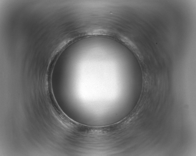 X0000066100298200603241525