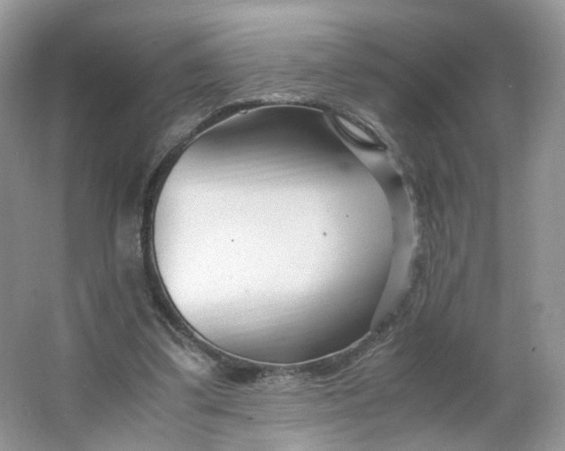 X0000066100299200603241525