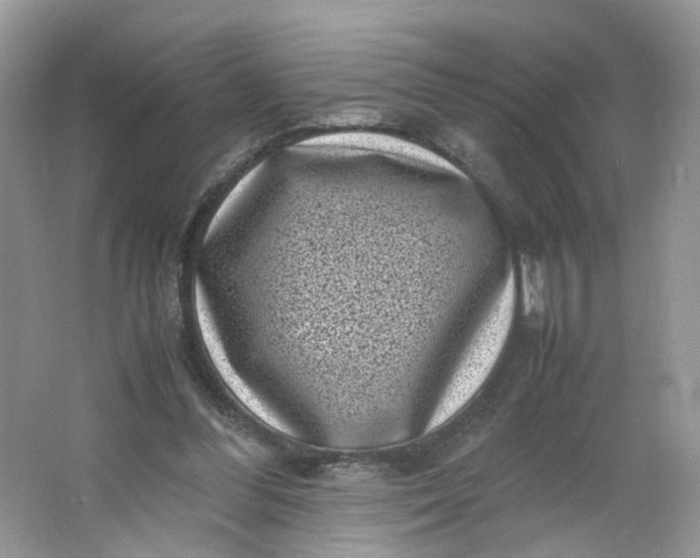 X0000066100300200603241525