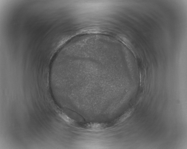 X0000066100301200603241525