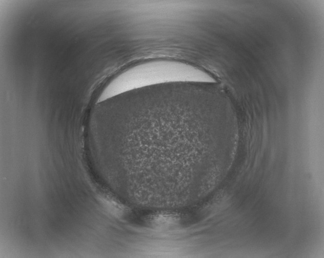 X0000066100303200603241525