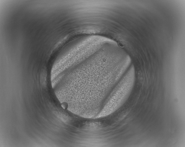 X0000066100304200603241525