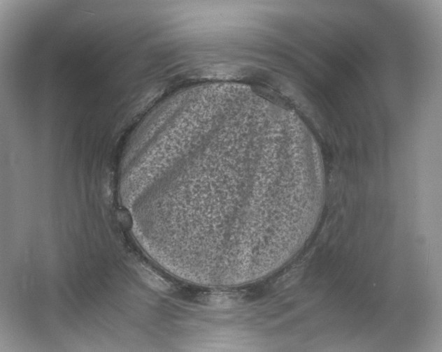 X0000066100305200603241525