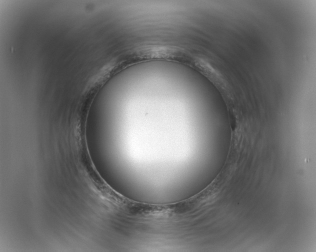 X0000066100306200603241525