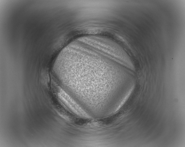 X0000066100307200603241525