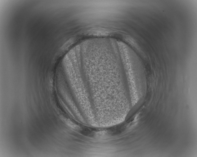 X0000066100309200603241525