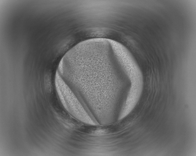 X0000066100312200603241525