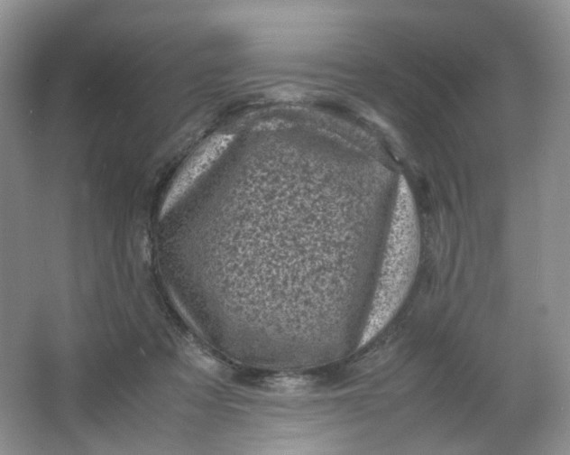 X0000066100313200603241525