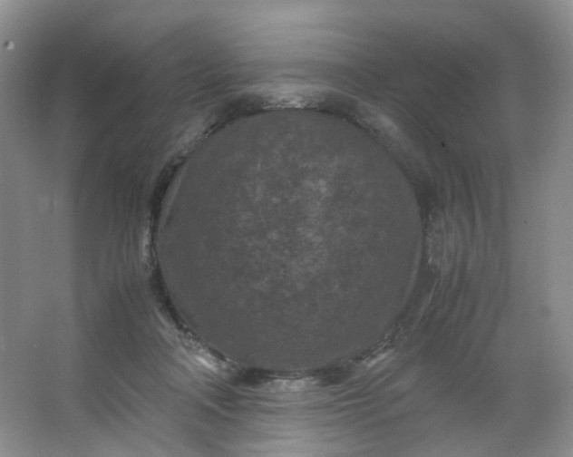 X0000066100314200603241525