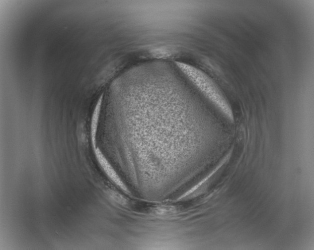 X0000066100317200603241525