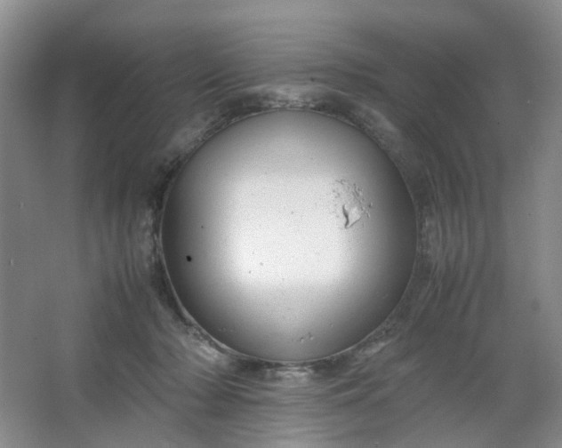 X0000066100318200603241525